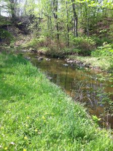 West Creek Conservancy Helps Protect Donated Property